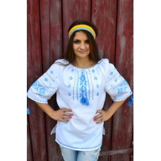 Embroidered blouse "Merejka Blue"