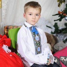 Embroidered shirt for little boy "Mykolay"
