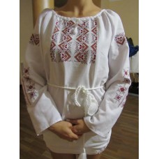 Embroidered  blouse "Autumn Berries"